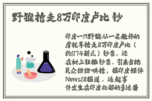 draft.art官网